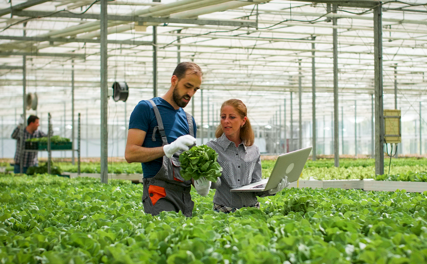 Agriculture